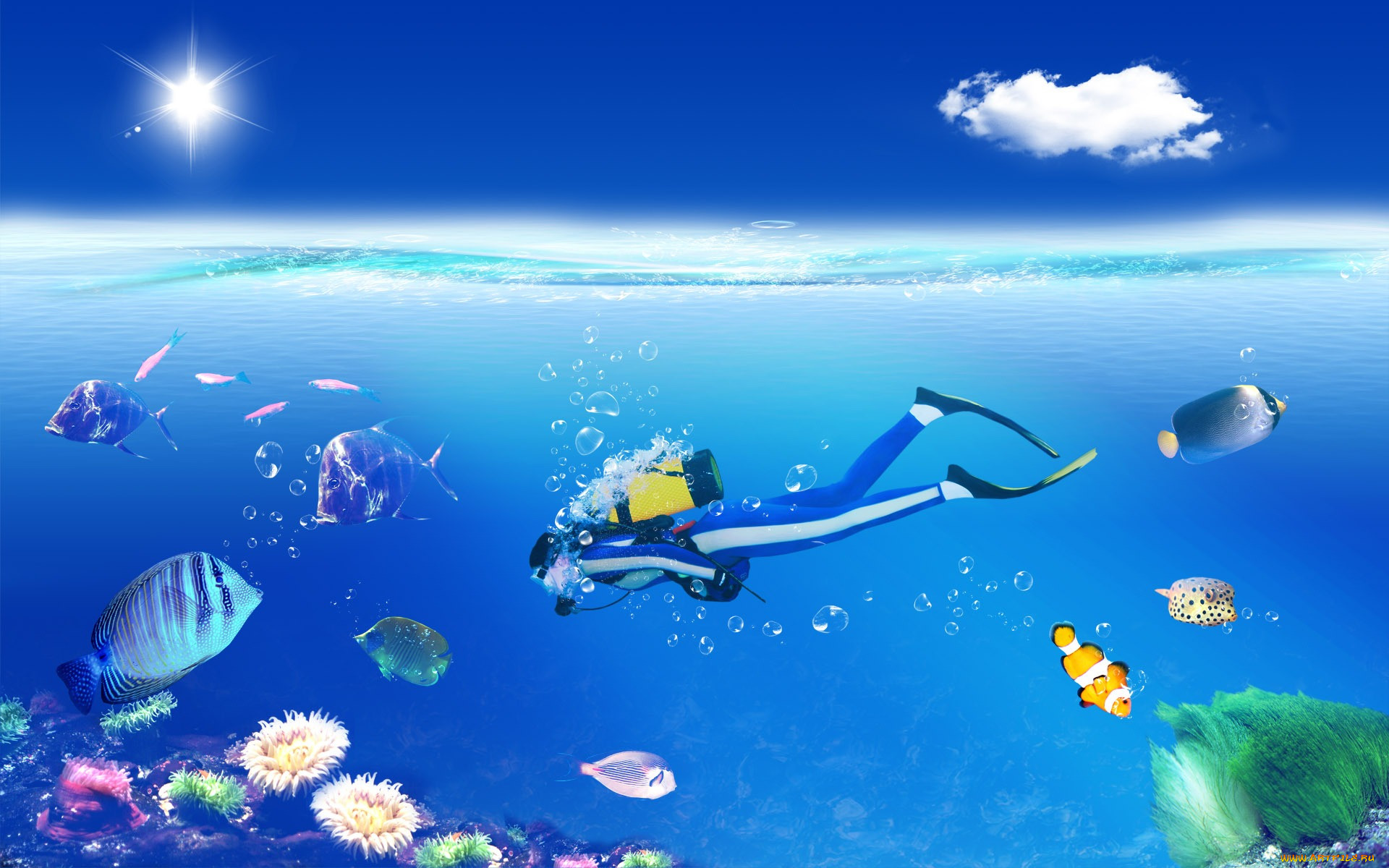 3, , sea, undersea, 